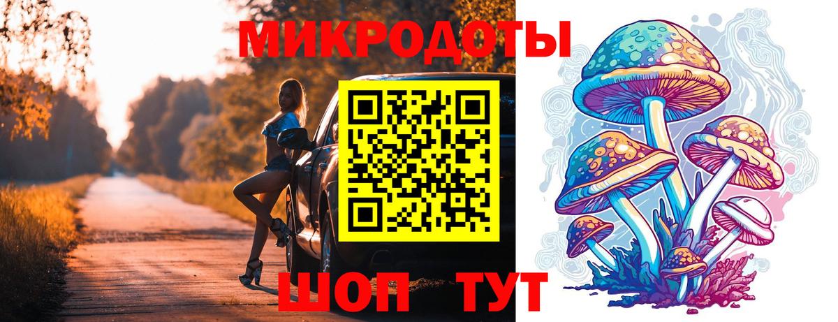 Псилоцибиновые грибы мицелий Урюпинск