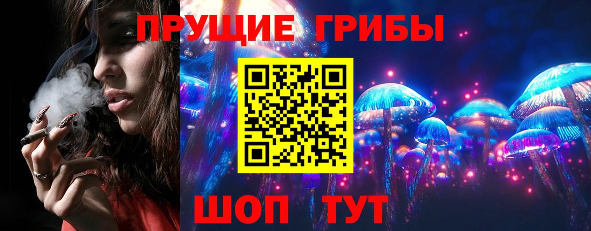 Галлюциногенные грибы прущие грибы  Вход с VPN  Урюпинск 